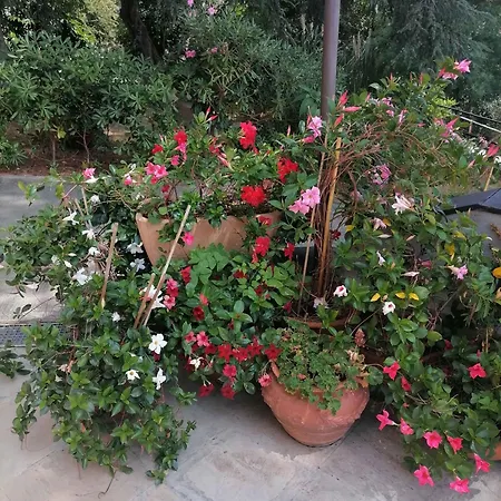 Bed and Breakfast Rocca *