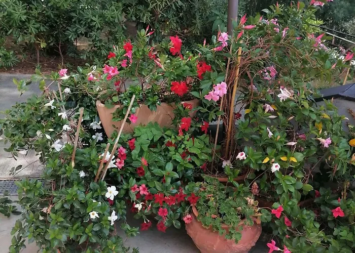 Bed and breakfast Rocca 4*